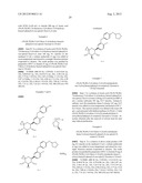 GLYCOSIDE DERIVATIVE AND USES THEREOF diagram and image