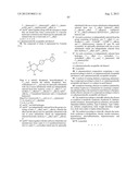 GLYCOSIDE DERIVATIVE AND USES THEREOF diagram and image