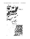 METHODS FOR TRANSDIFFERENTIATION OF BODY TISSUES diagram and image