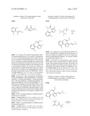 IL17 AND IFN-GAMMA INHIBITION FOR THE TREATMENT OF AUTOIMMUNE INFLAMMATION diagram and image