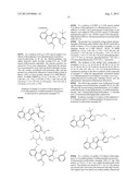 IL17 AND IFN-GAMMA INHIBITION FOR THE TREATMENT OF AUTOIMMUNE INFLAMMATION diagram and image