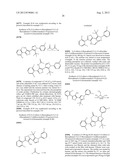 IL17 AND IFN-GAMMA INHIBITION FOR THE TREATMENT OF AUTOIMMUNE INFLAMMATION diagram and image