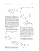 IL17 AND IFN-GAMMA INHIBITION FOR THE TREATMENT OF AUTOIMMUNE INFLAMMATION diagram and image