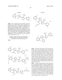 IL17 AND IFN-GAMMA INHIBITION FOR THE TREATMENT OF AUTOIMMUNE INFLAMMATION diagram and image