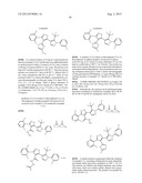 IL17 AND IFN-GAMMA INHIBITION FOR THE TREATMENT OF AUTOIMMUNE INFLAMMATION diagram and image