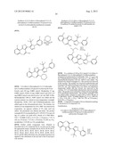 IL17 AND IFN-GAMMA INHIBITION FOR THE TREATMENT OF AUTOIMMUNE INFLAMMATION diagram and image