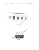 COMBINATION THERAPY AND CANCER diagram and image