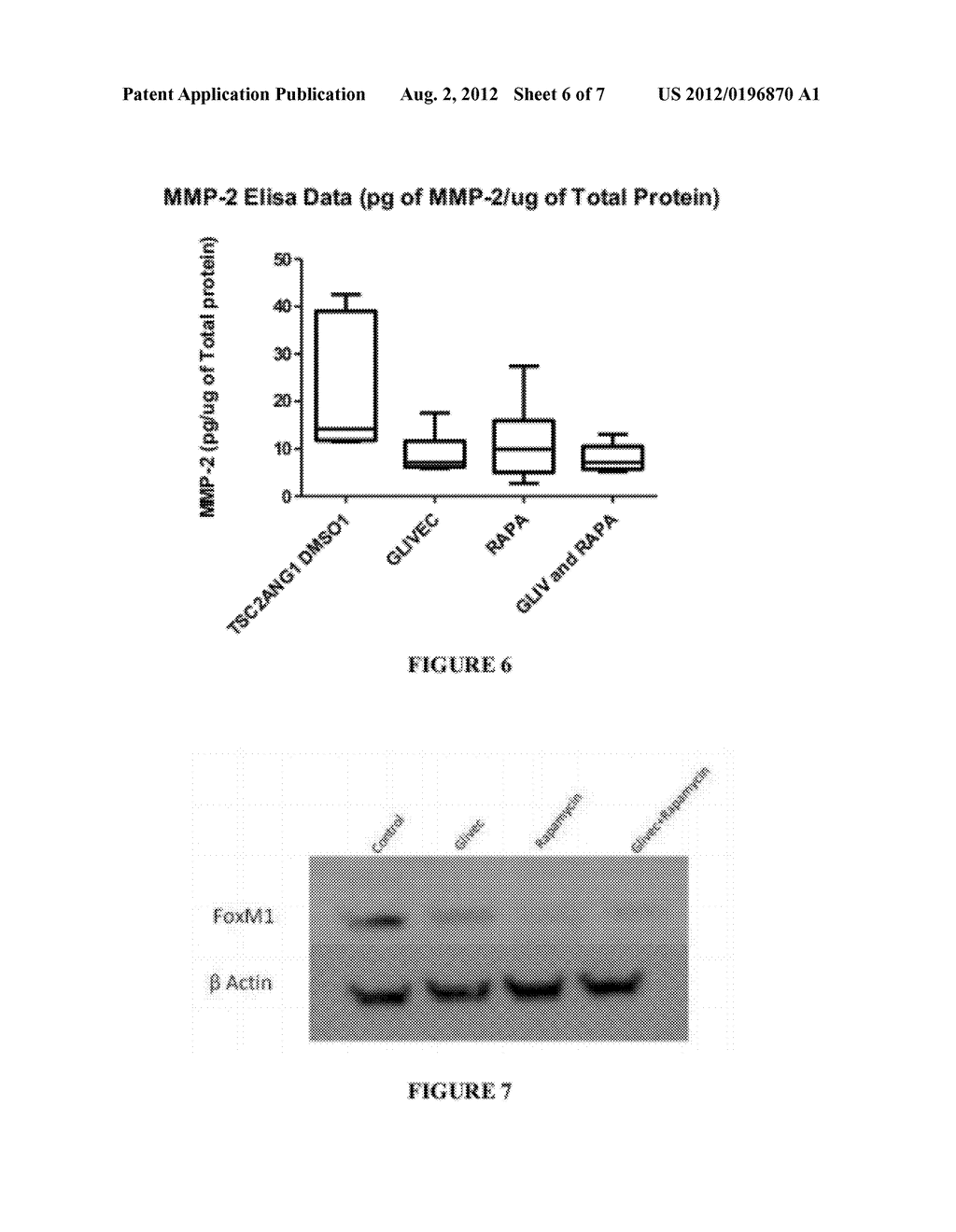 COMBINATION THERAPY AND CANCER - diagram, schematic, and image 07