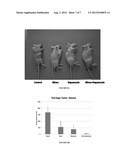 COMBINATION THERAPY AND CANCER diagram and image