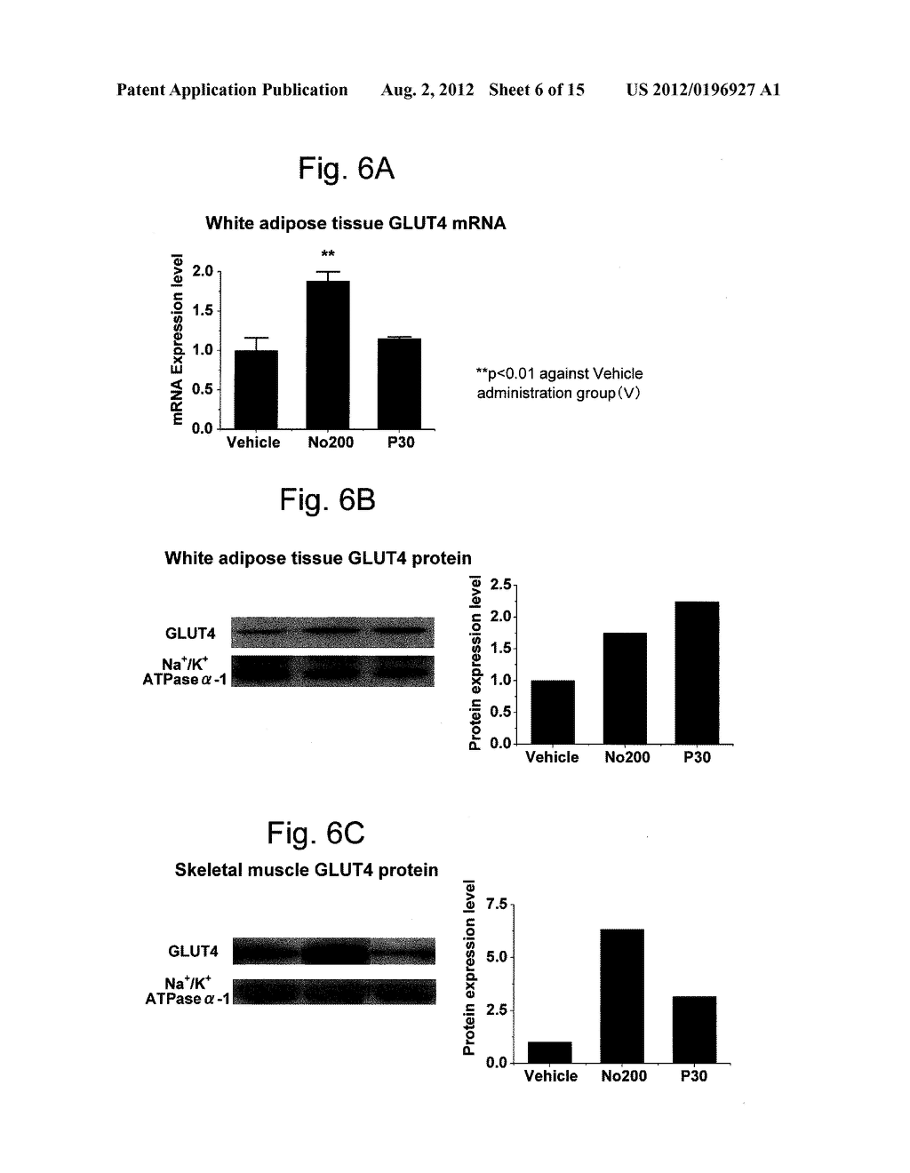 PROPHYLACTIC AND/OR THERAPEUTIC AGENT FOR METABOLIC SYNDROME - diagram, schematic, and image 07