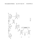 SCREENING METHODS OF MODULATING ADRENERGIC RECEPTOR GENE EXPRESSIONS     IMPLICATED IN MELANOGENESIS diagram and image