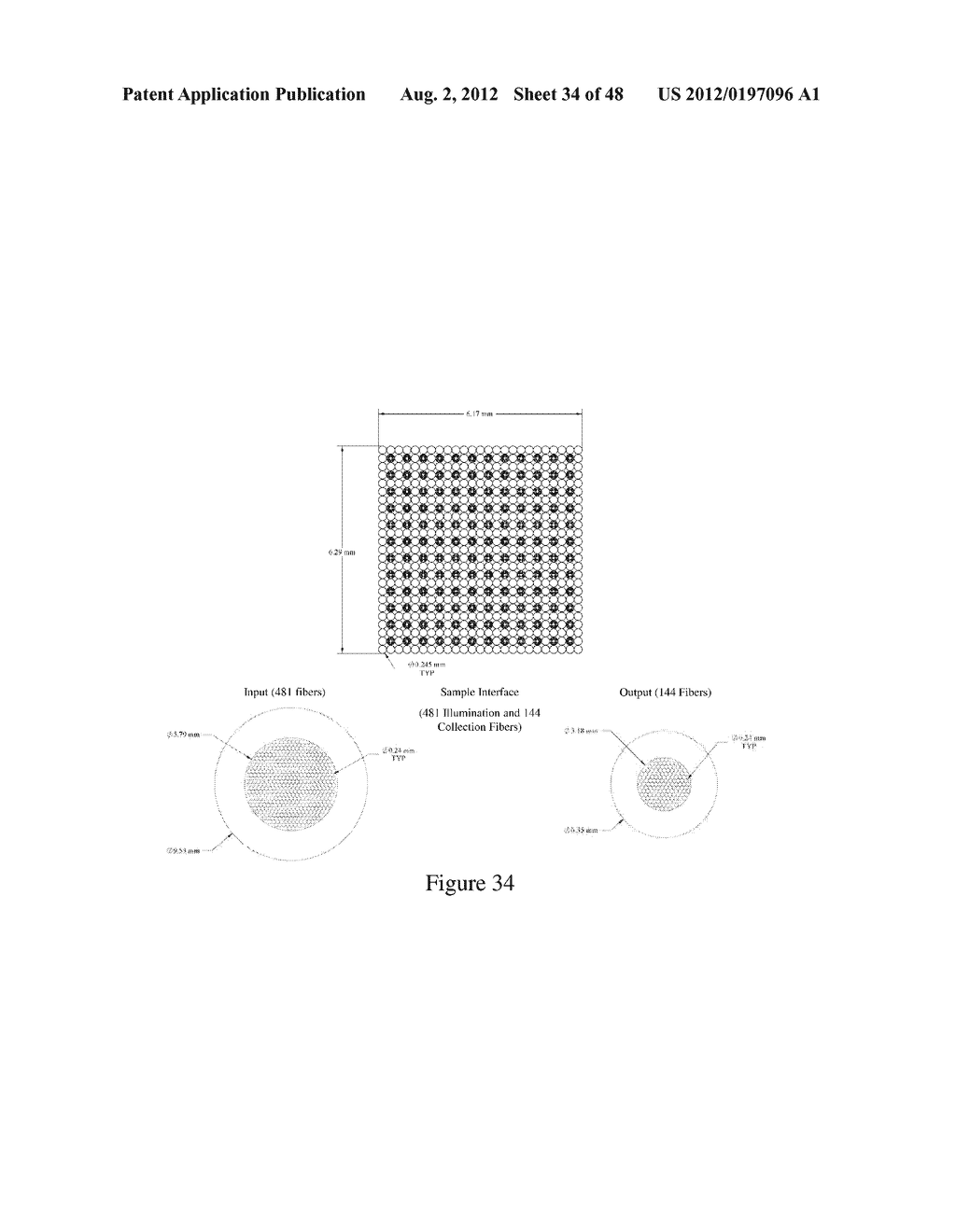 System for Noninvasive Determination of Analytes in Tissue - diagram, schematic, and image 35