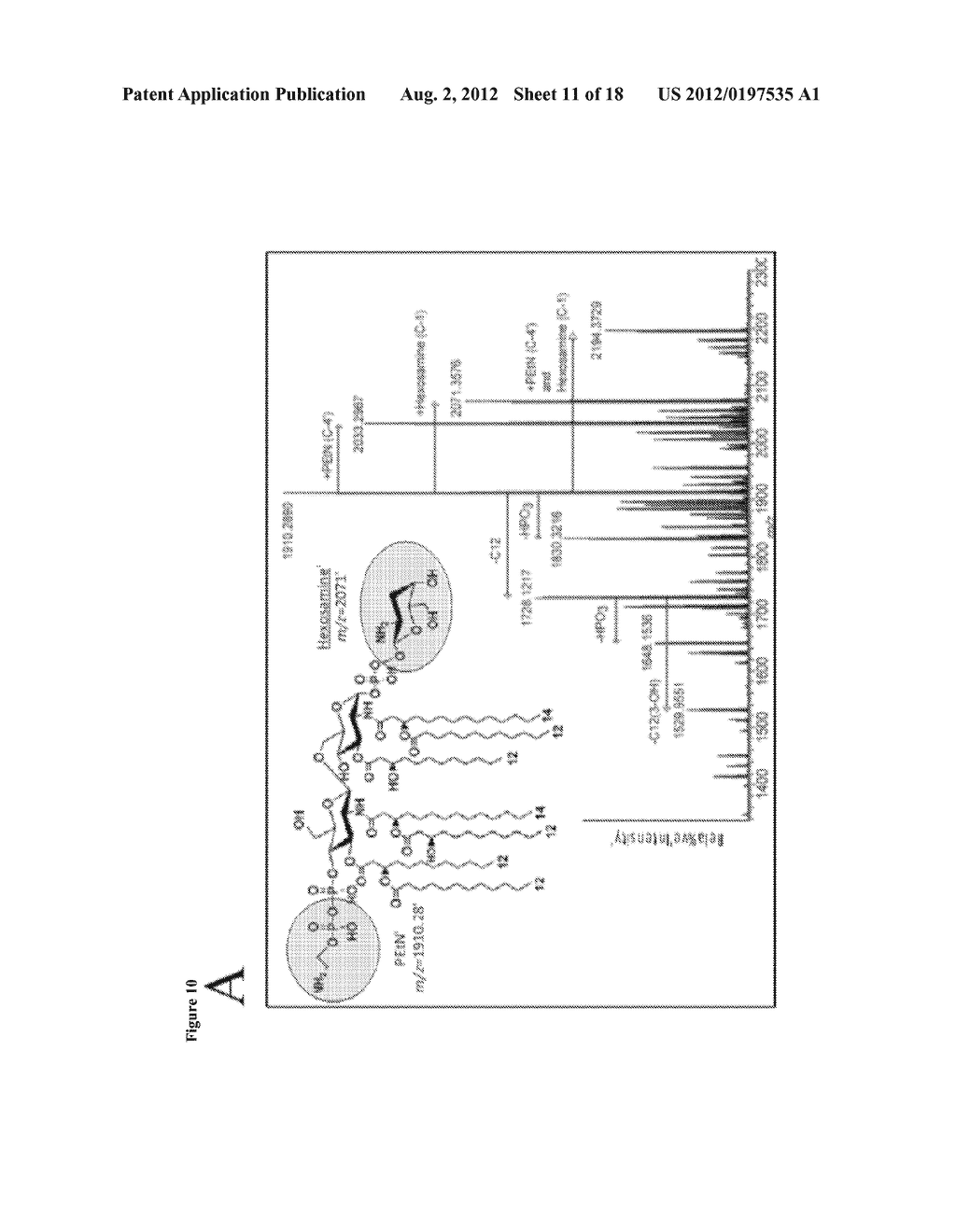 Methods for identifying bacteria - diagram, schematic, and image 12