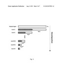 NOVEL WAVELET MODELING PARADIGMS FOR CARDIOVASCULAR PHYSIOLOGICAL SIGNAL     INTERPRETATION diagram and image