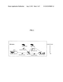 METHOD FOR SUPPORTING POST BROWSING IN MOVING RIGHTS OBJECT OF DIGITAL     RIGHTS MANAGEMENT AND TERMINAL THEREOF diagram and image