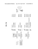 DIGITAL BROADCAST SYSTEM FOR TRANSMITTING/RECEIVING DIGITAL BROADCAST     DATA, AND DATA PROCESSING METHOD FOR USE IN THE SAME diagram and image