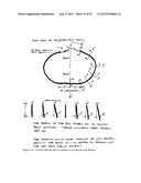 Duty Belt System diagram and image