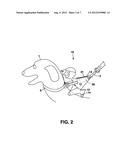 ANIMAL IDENTIFICATION ENTERTAINMENT AND SAFETY DEVICE diagram and image