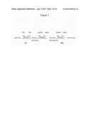 Transgenic Plants diagram and image