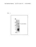 ELECTROPHORETIC ANALYSIS METHOD diagram and image