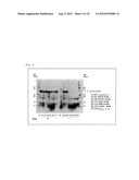 ELECTROPHORETIC ANALYSIS METHOD diagram and image