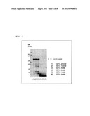 ELECTROPHORETIC ANALYSIS METHOD diagram and image