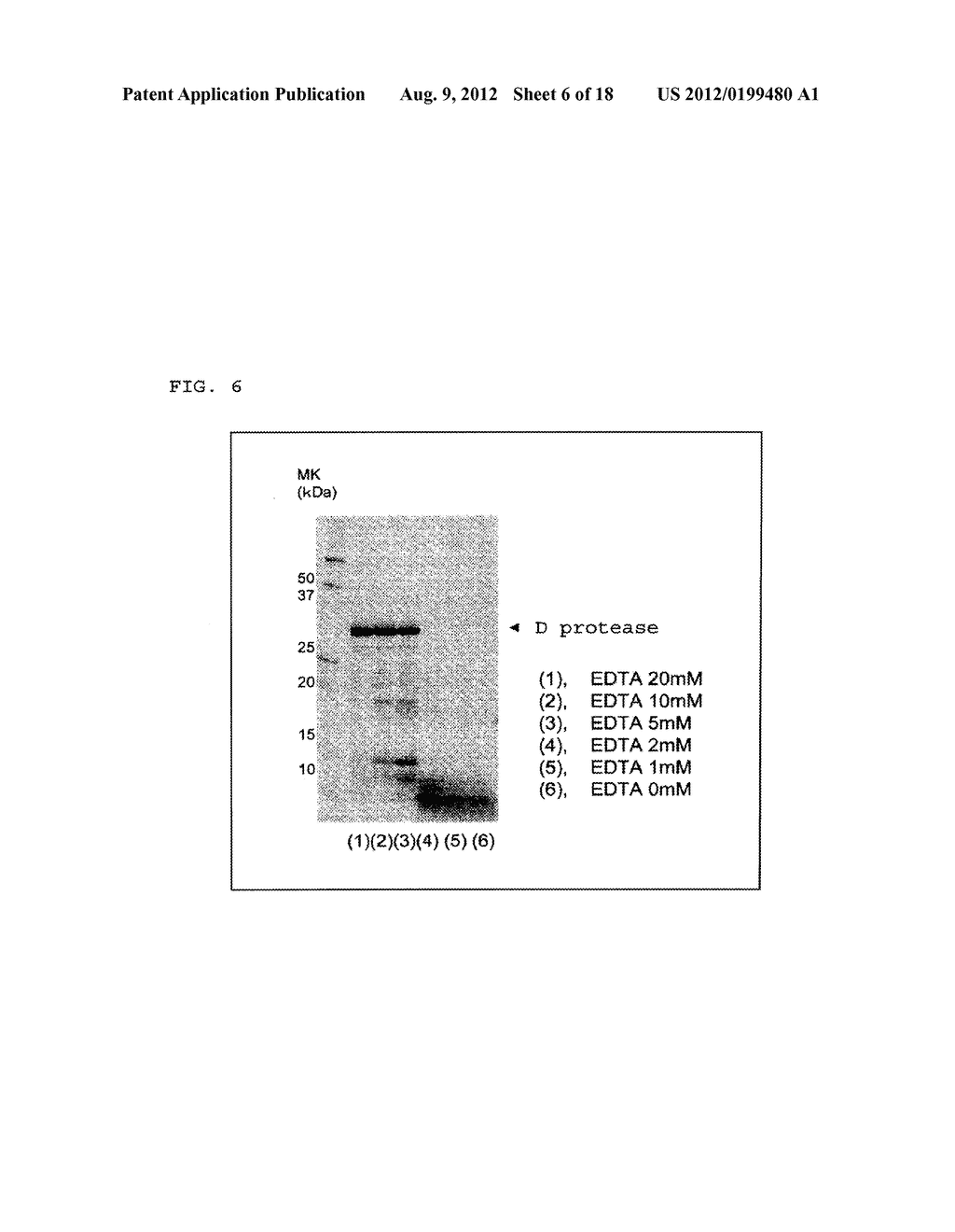 ELECTROPHORETIC ANALYSIS METHOD - diagram, schematic, and image 07