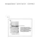 ELECTROPHORETIC ANALYSIS METHOD diagram and image