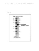 ELECTROPHORETIC ANALYSIS METHOD diagram and image