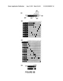 METHOD AND APPARATUS FOR 3D DISPLAY AND ANALYSIS OF DISPARATE DATA diagram and image