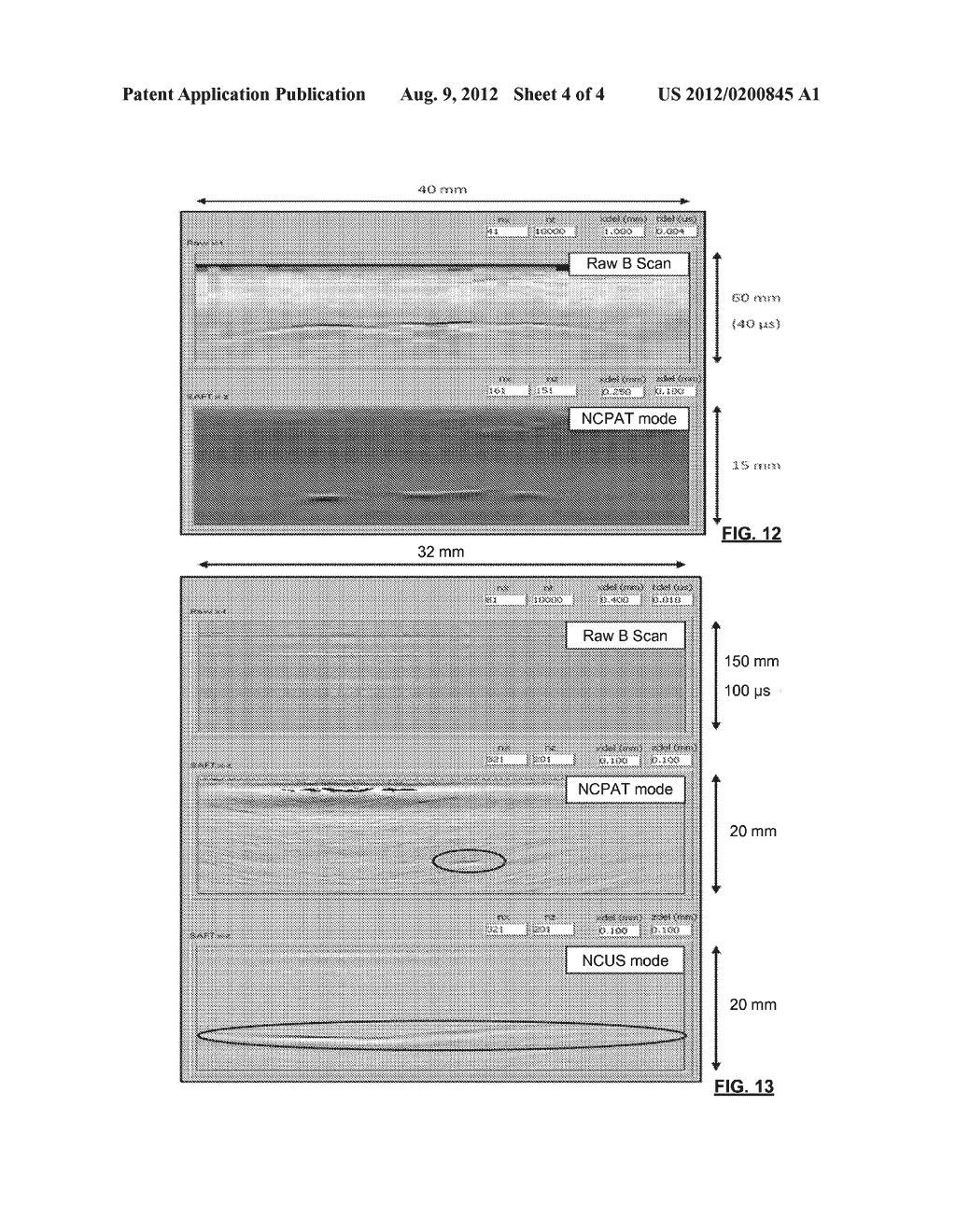 BIOLOGICAL TISSUE INSPECTION METHOD AND SYSTEM - diagram, schematic, and image 05