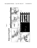 Digital Subtraction Angiography (DSA) Motion Compensated Imaging System diagram and image