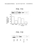 T. CRUZI-DERIVED NEUROTROPHIC AGENTS AND METHODS OF USE THEREFOR diagram and image