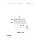 COMPOSITIONS AND METHODS AND USES RELATED THERETO diagram and image