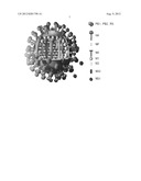 COMPOSITIONS AND METHODS AND USES RELATED THERETO diagram and image