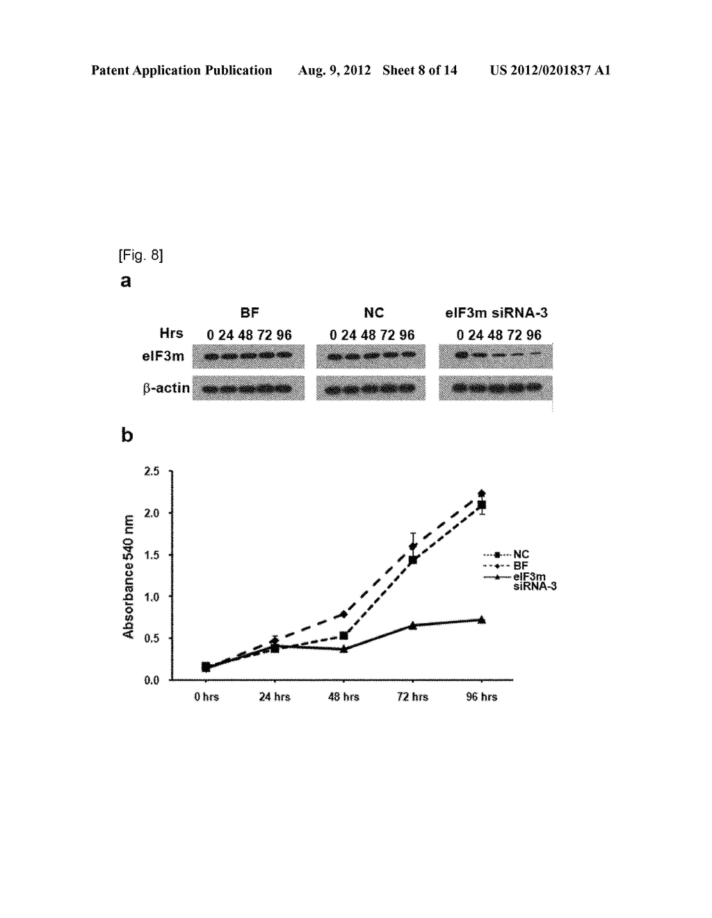 USE OF EIF3M FOR THE DIAGNOSIS AND TREATMENT OF CANCER - diagram, schematic, and image 09