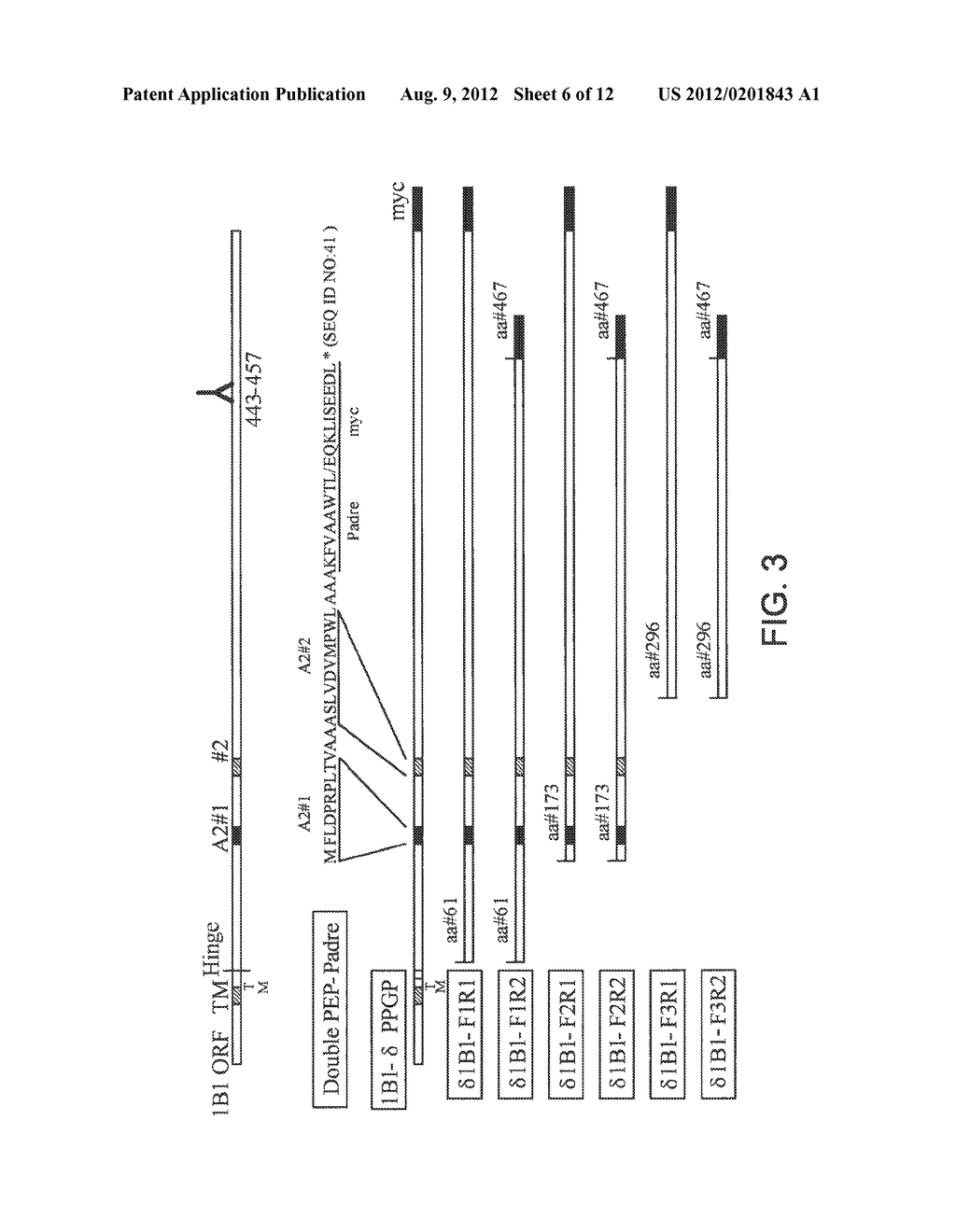 CYP1B1 NUCLEIC ACIDS AND METHODS OF USE - diagram, schematic, and image 07