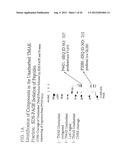 NOVEL IMMUNOGENIC COMPOSITIONS FOR THE PREVENTION AND TREATMENT OF     MENINGOCOCCAL DISEASE diagram and image