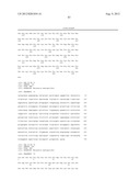 NOVEL IMMUNOGENIC COMPOSITIONS FOR THE PREVENTION AND TREATMENT OF     MENINGOCOCCAL DISEASE diagram and image