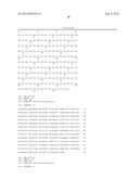 NOVEL IMMUNOGENIC COMPOSITIONS FOR THE PREVENTION AND TREATMENT OF     MENINGOCOCCAL DISEASE diagram and image