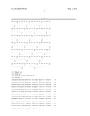 NOVEL IMMUNOGENIC COMPOSITIONS FOR THE PREVENTION AND TREATMENT OF     MENINGOCOCCAL DISEASE diagram and image