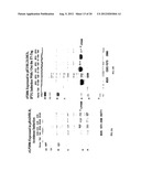 NOVEL IMMUNOGENIC COMPOSITIONS FOR THE PREVENTION AND TREATMENT OF     MENINGOCOCCAL DISEASE diagram and image