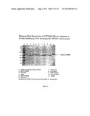 NOVEL IMMUNOGENIC COMPOSITIONS FOR THE PREVENTION AND TREATMENT OF     MENINGOCOCCAL DISEASE diagram and image