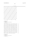 NOVEL IMMUNOGENIC COMPOSITIONS FOR THE PREVENTION AND TREATMENT OF     MENINGOCOCCAL DISEASE diagram and image