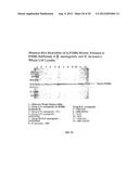 NOVEL IMMUNOGENIC COMPOSITIONS FOR THE PREVENTION AND TREATMENT OF     MENINGOCOCCAL DISEASE diagram and image