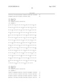 NOVEL IMMUNOGENIC COMPOSITIONS FOR THE PREVENTION AND TREATMENT OF     MENINGOCOCCAL DISEASE diagram and image