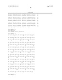 NOVEL IMMUNOGENIC COMPOSITIONS FOR THE PREVENTION AND TREATMENT OF     MENINGOCOCCAL DISEASE diagram and image