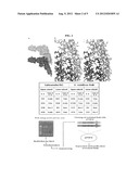 MODIFIED FLAGELLIN IMPROVED TOLL-LIKE RECEPTOR 5 STIMULATING ACTIVITY diagram and image