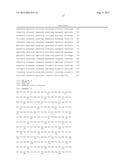 MODIFIED FLAGELLIN IMPROVED TOLL-LIKE RECEPTOR 5 STIMULATING ACTIVITY diagram and image