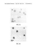 LIPOSOMES COMPRISING A CALCIUM PHOSPHATE-CONTAINING PRECIPITATE diagram and image